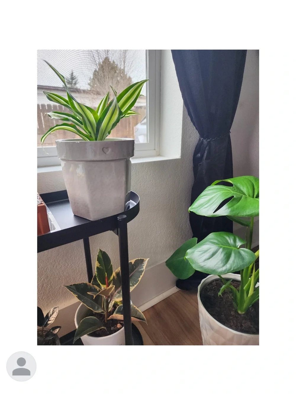 Hearth & Hand ceramic planter